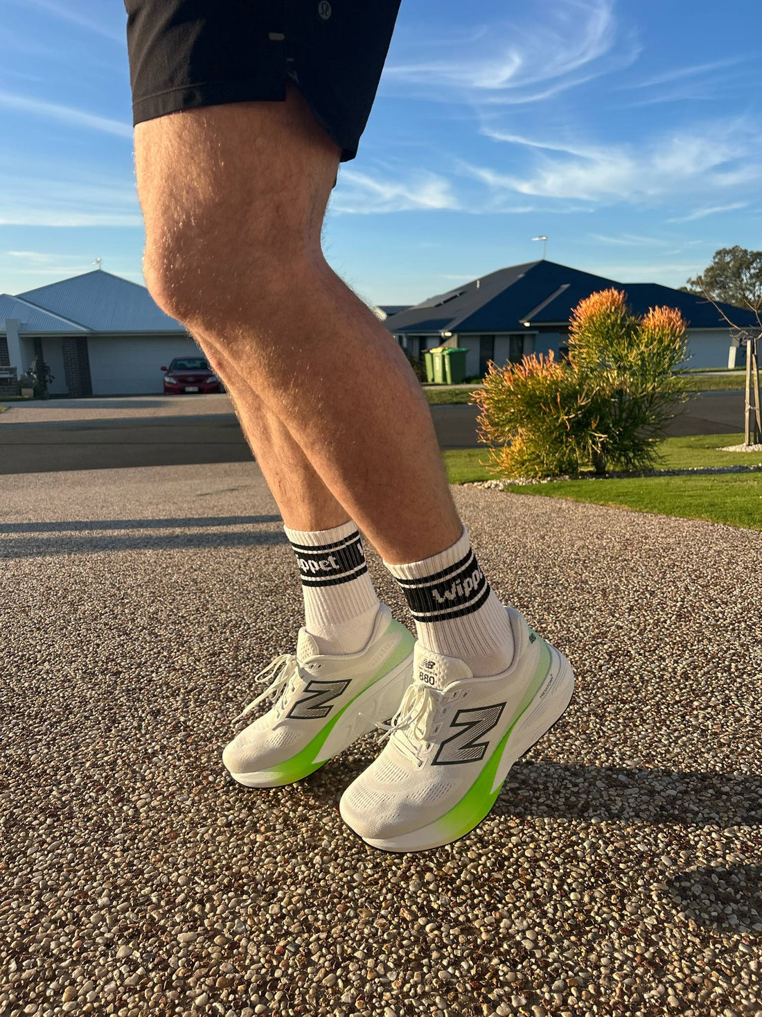 Wippet Unisex Comfy Quarter Running Socks 3-Pack with Cushioned Heel and Toe — Quarter-Length, Ribbed Support, Cushioned Athletic Cotton Running Socks