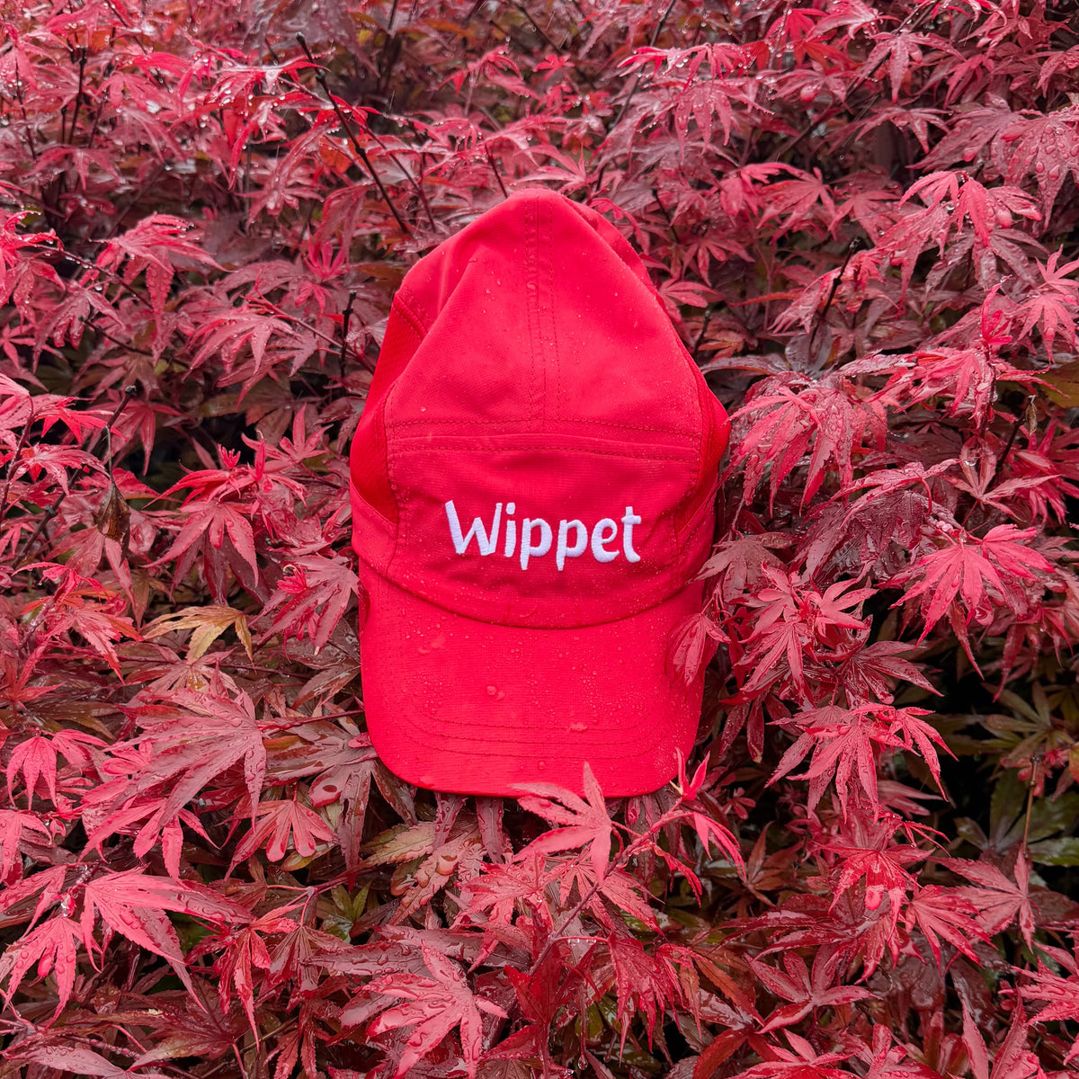 Running Cap- Red Racer
